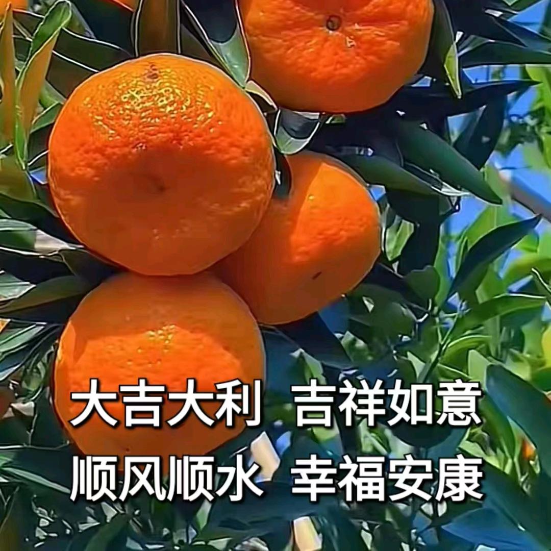 顺姐财姐