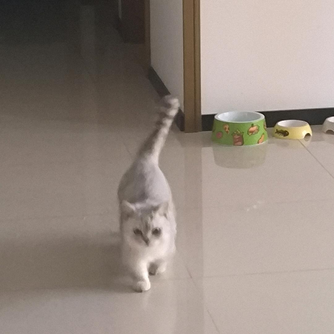 黄富贵