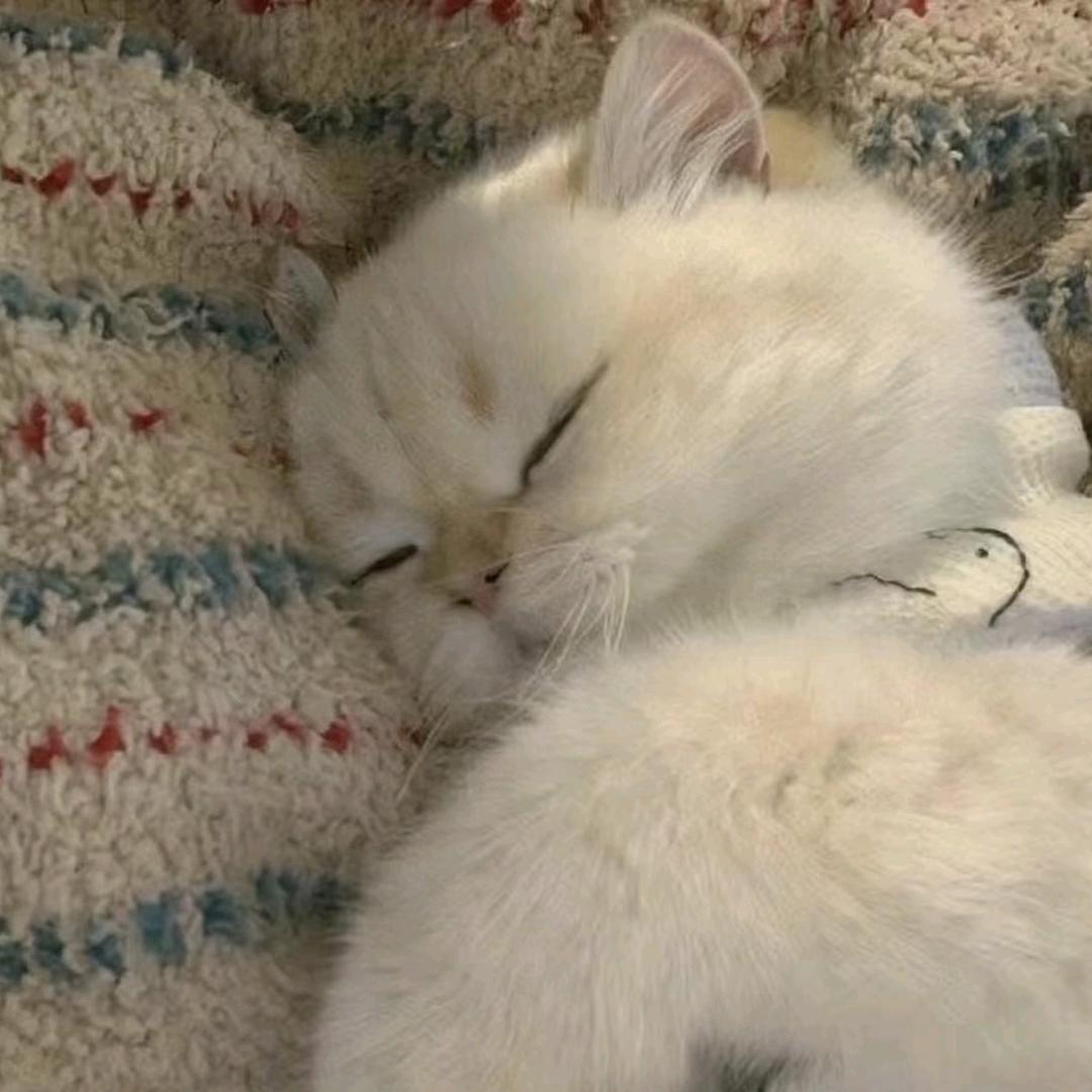 nnnninin