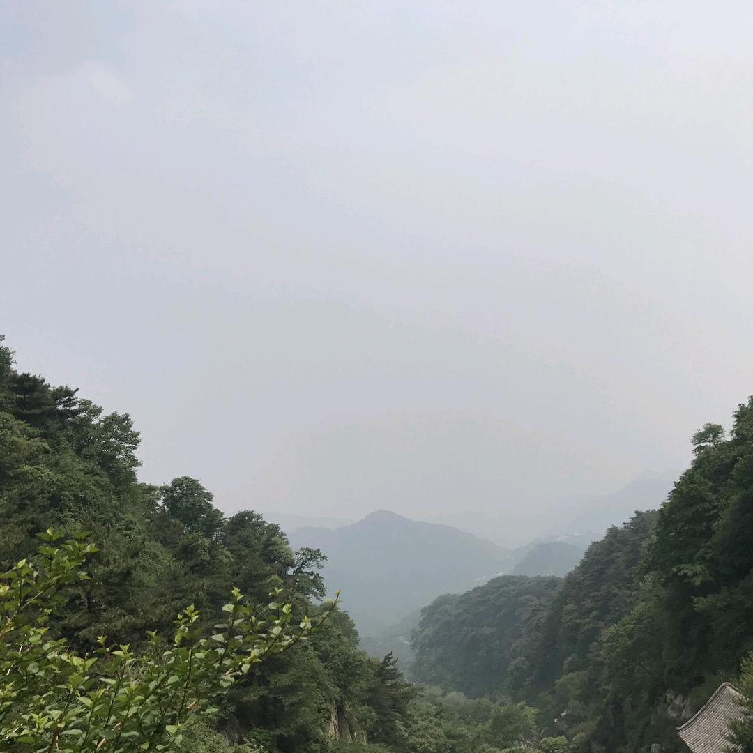 杨光雨露