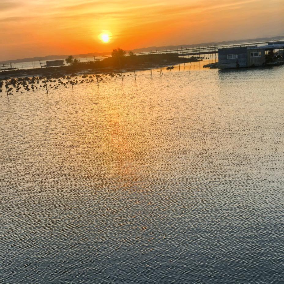 桉木界黑马🐴肖锋