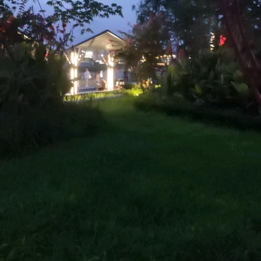 与李相约