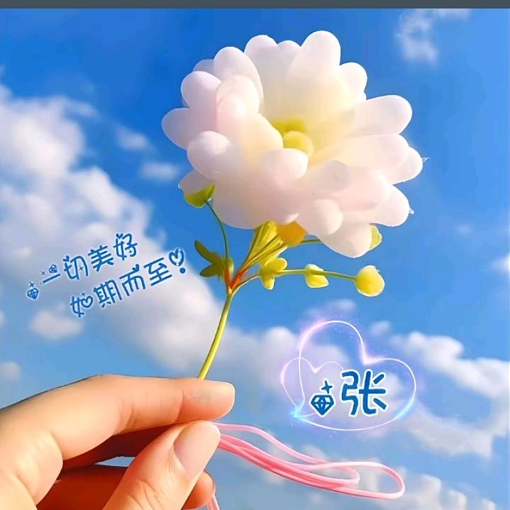 💞雨倾心💞