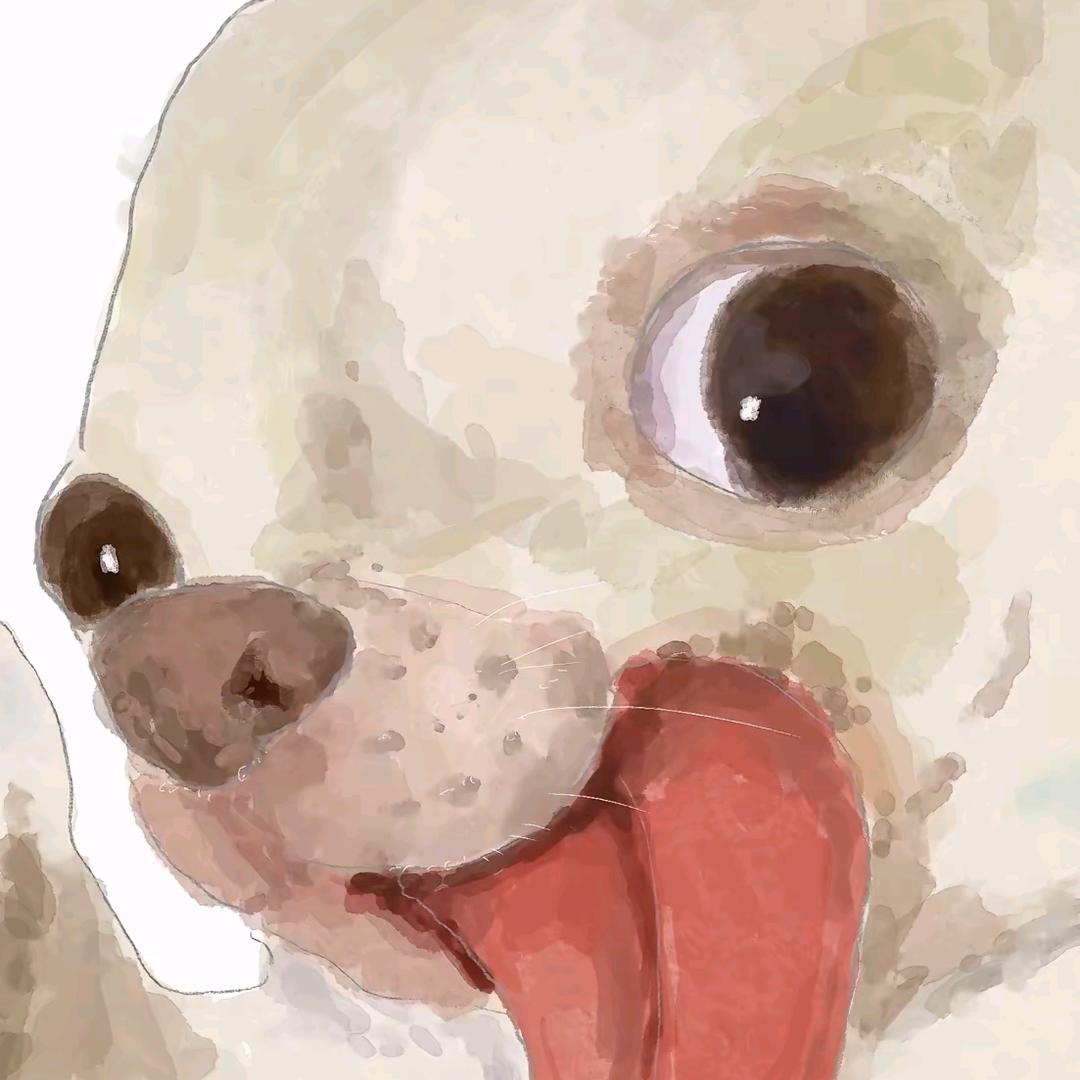 星火点点
