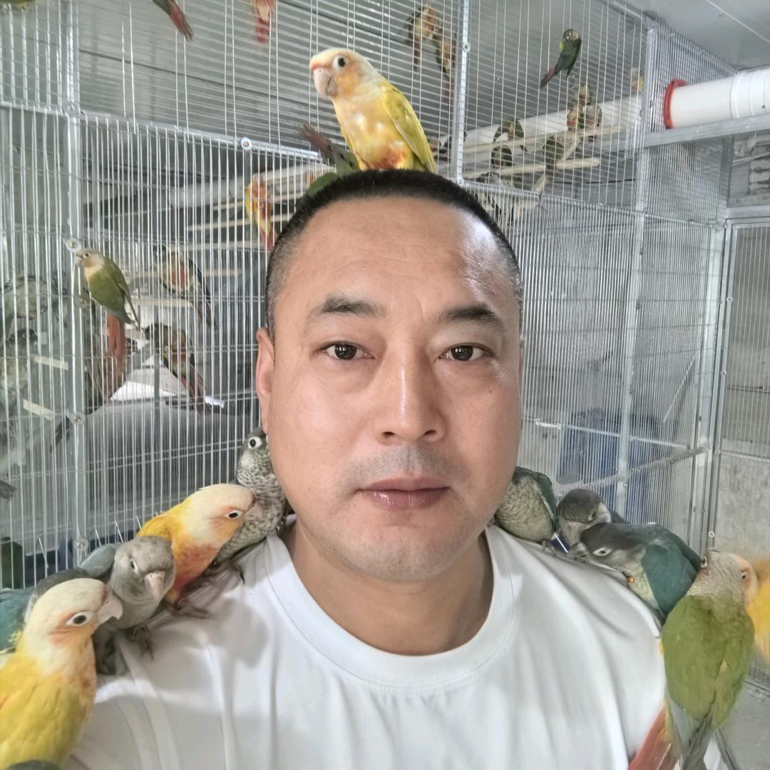 沈阳鹦鹉养殖🦜阿亮