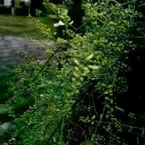 一如既往