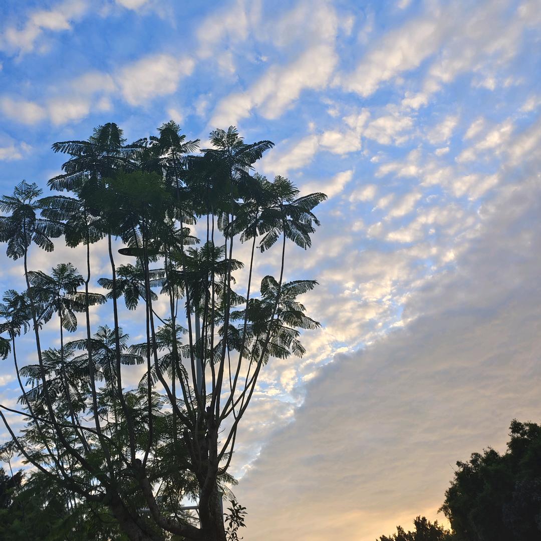 乐雨点点