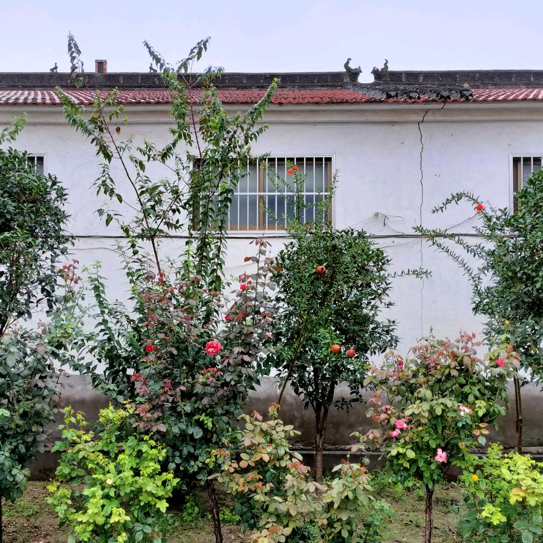 吴玲玲