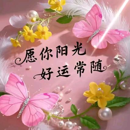 可爱的燕子