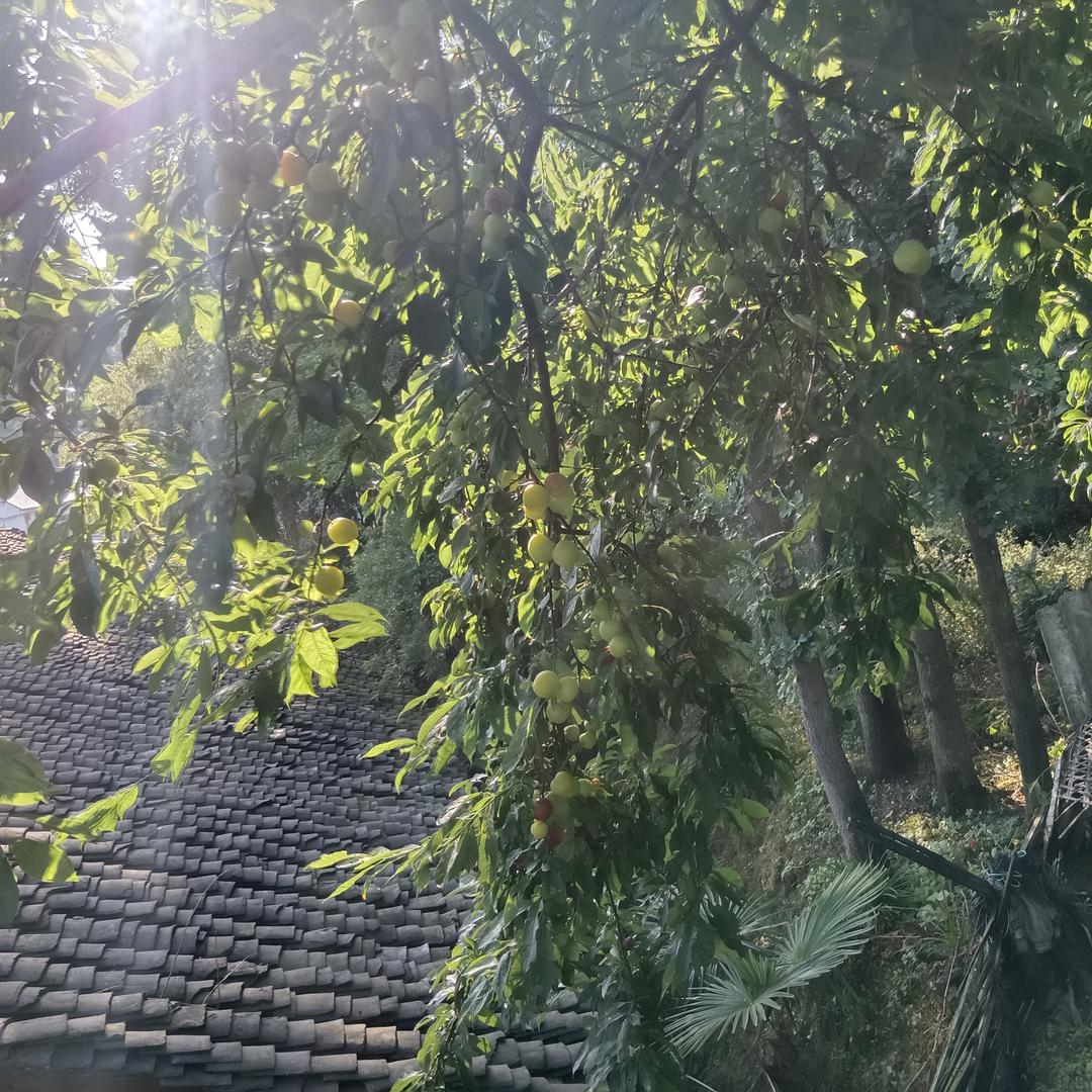 90后的农村人杨.；agaa5@gVd