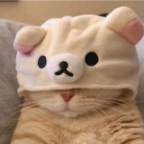 明明您你好