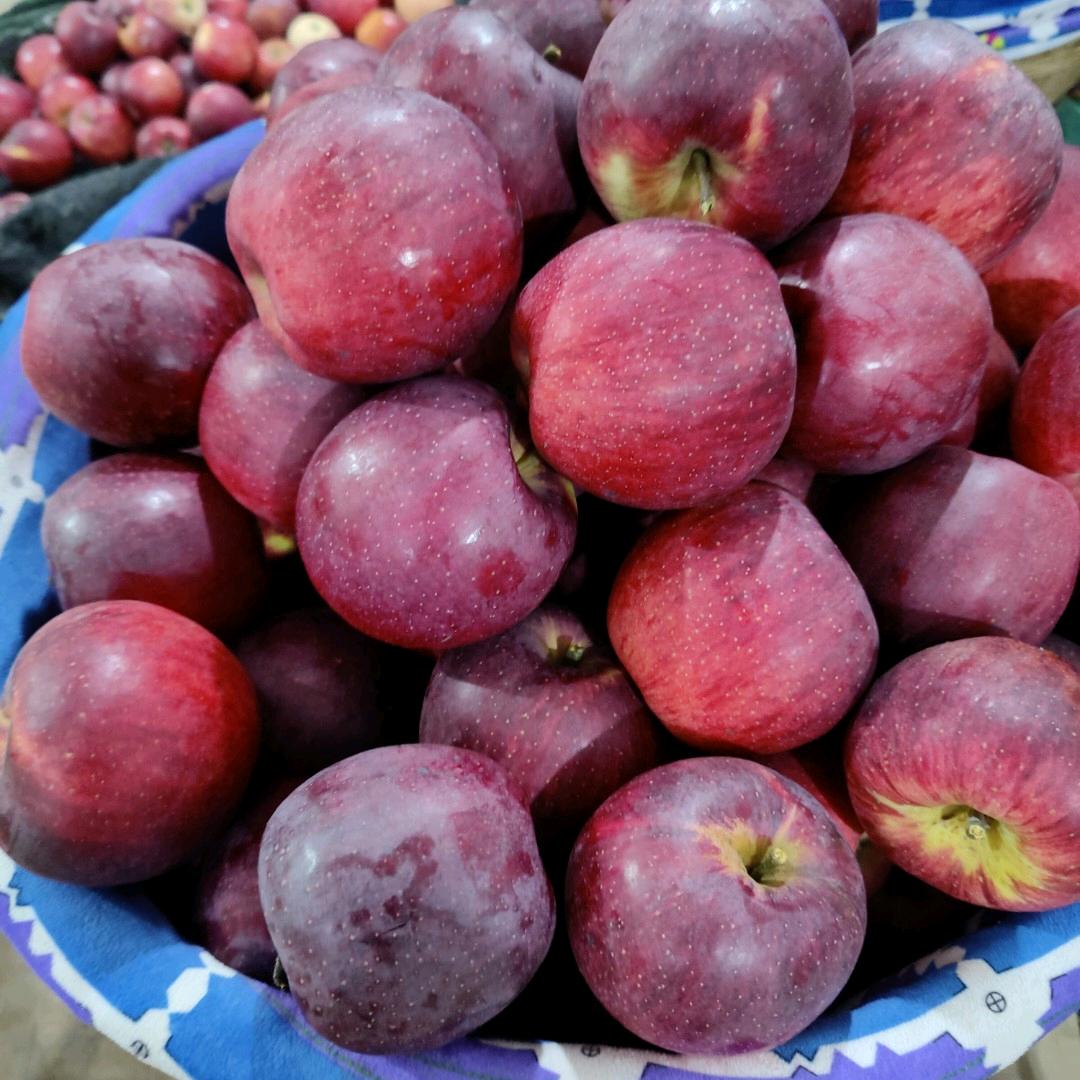 农耕昭通丑苹果