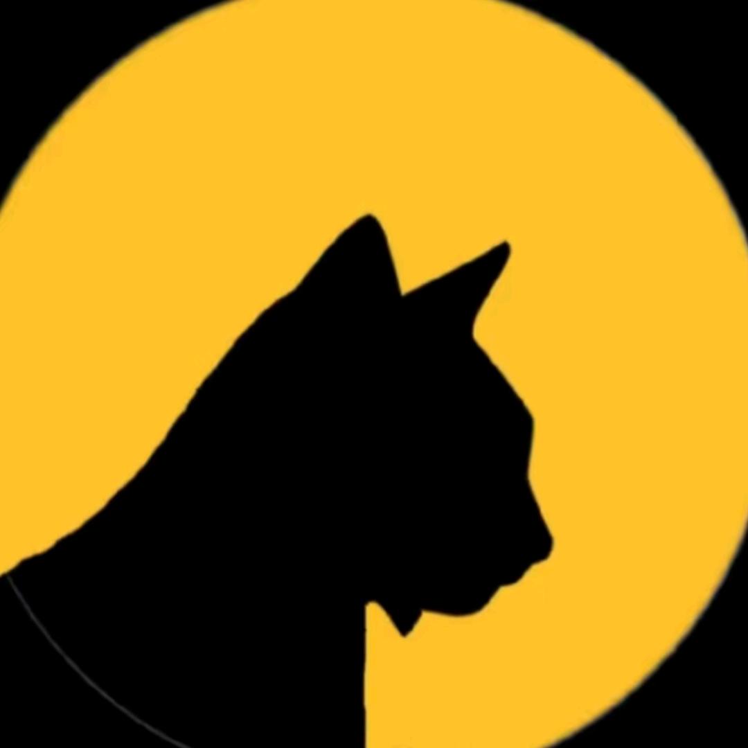 猫姐游戏