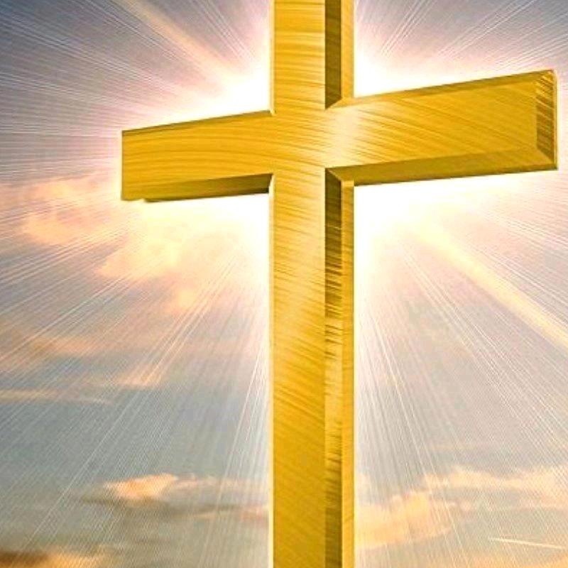 ♥(｡￫v￩｡)♥刘云🍎老六🍎