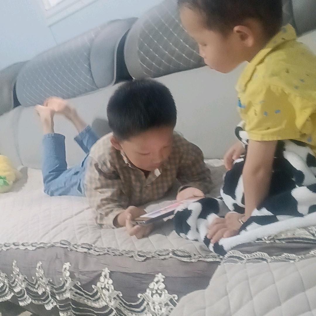 自由的飞翔