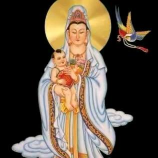 喜……哥……💕💕💕