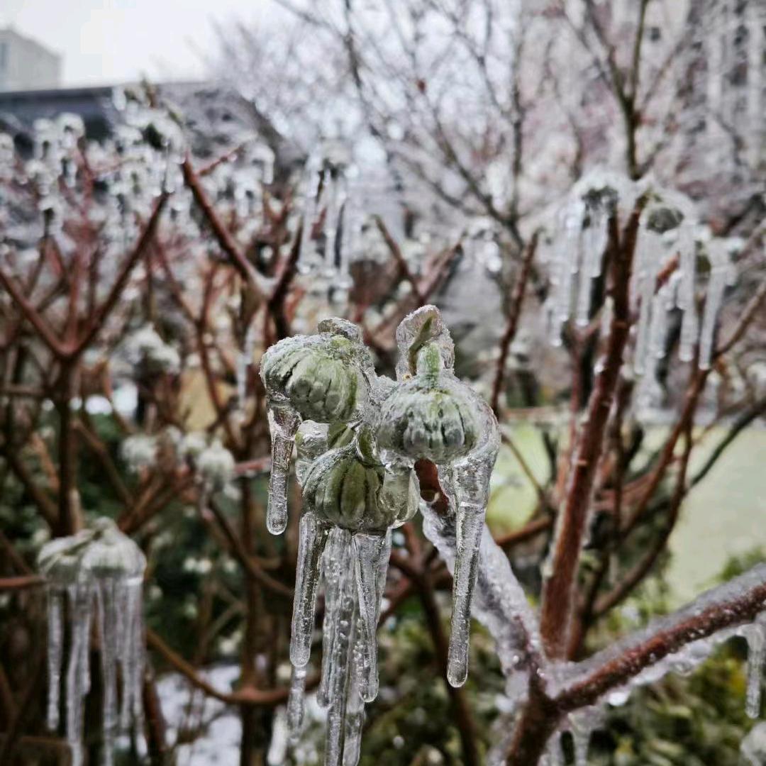 习惯孤独