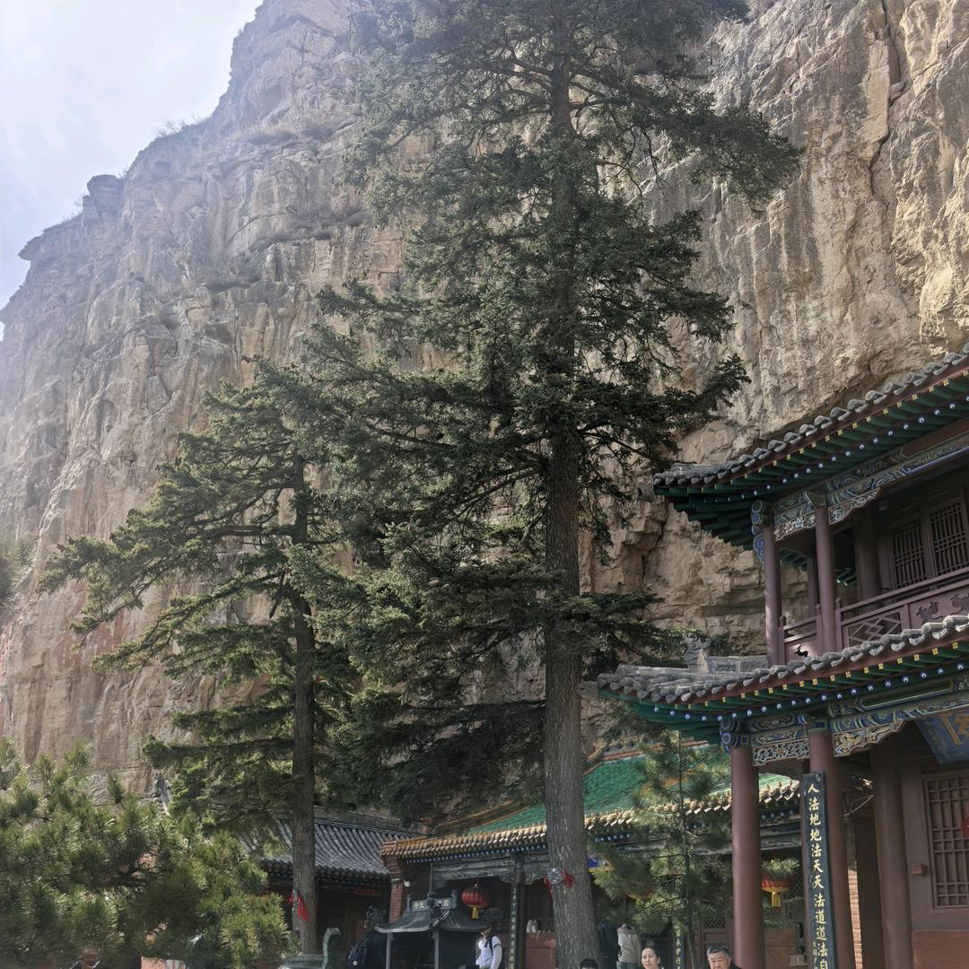 武喜军（山大附汾东中学）