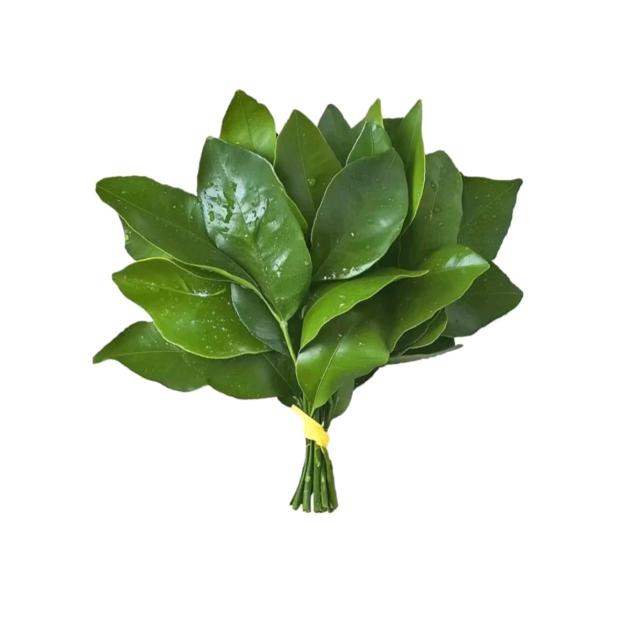 呓语