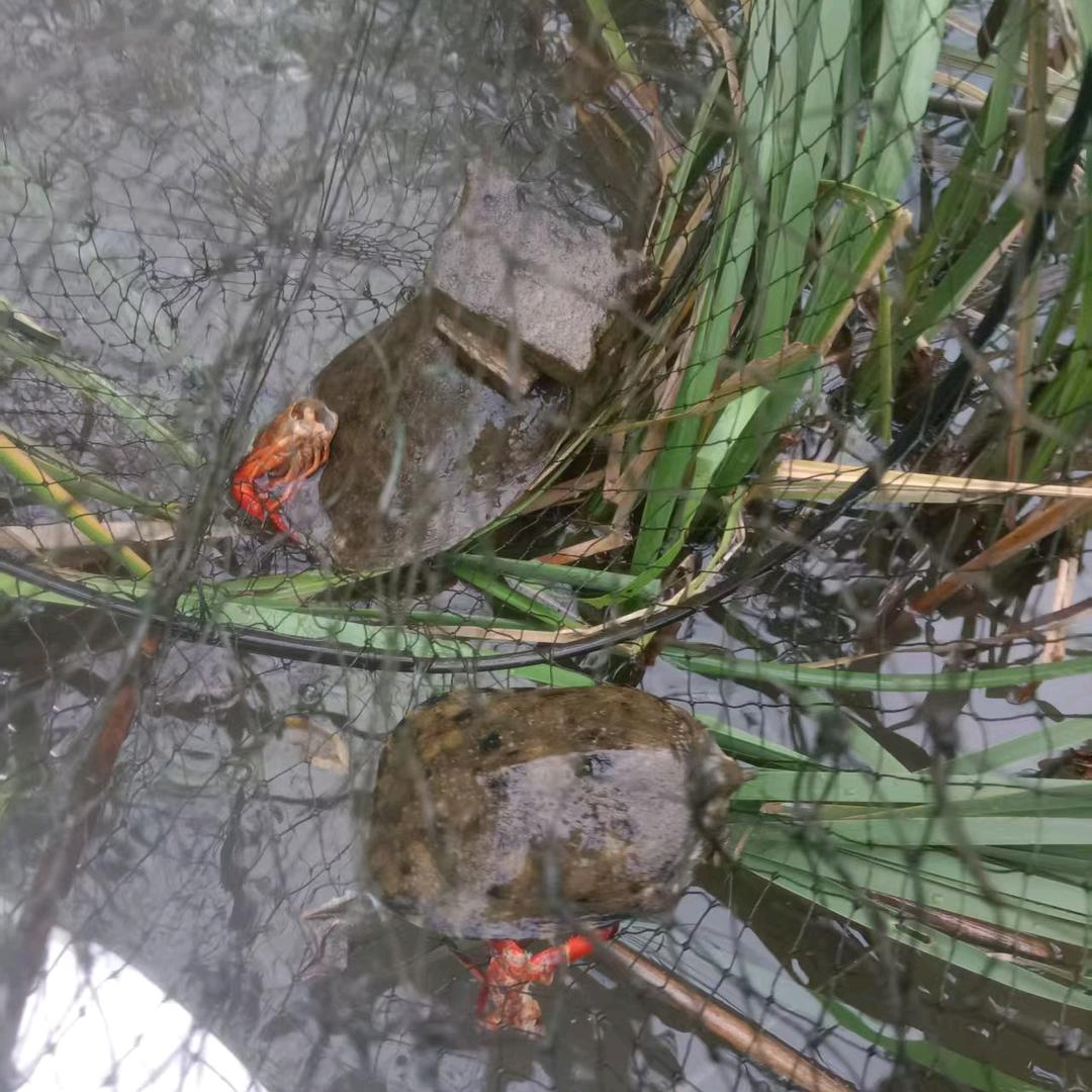 不想上班搞户外——方丈