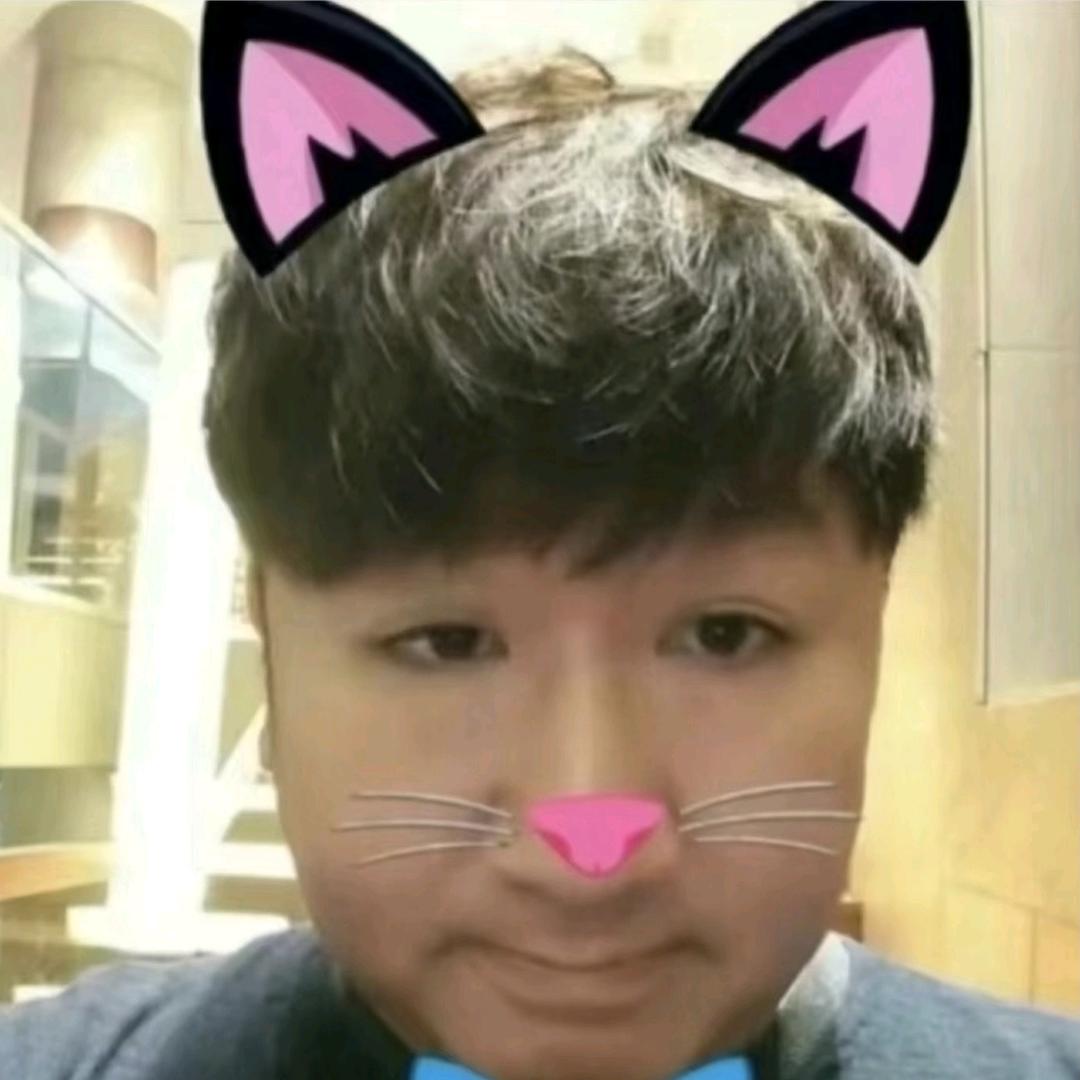 你看我理你不