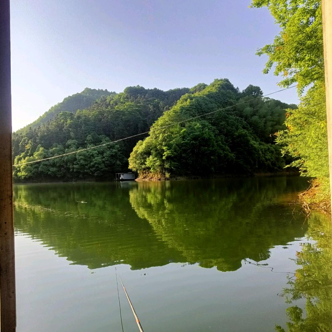 《四哥》钓友情