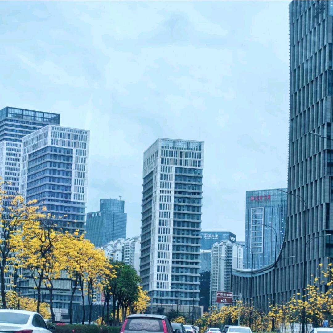 诚鑫汇