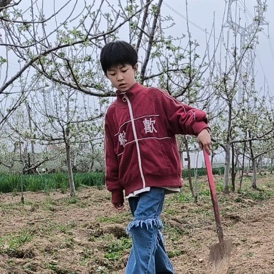 刘三姐