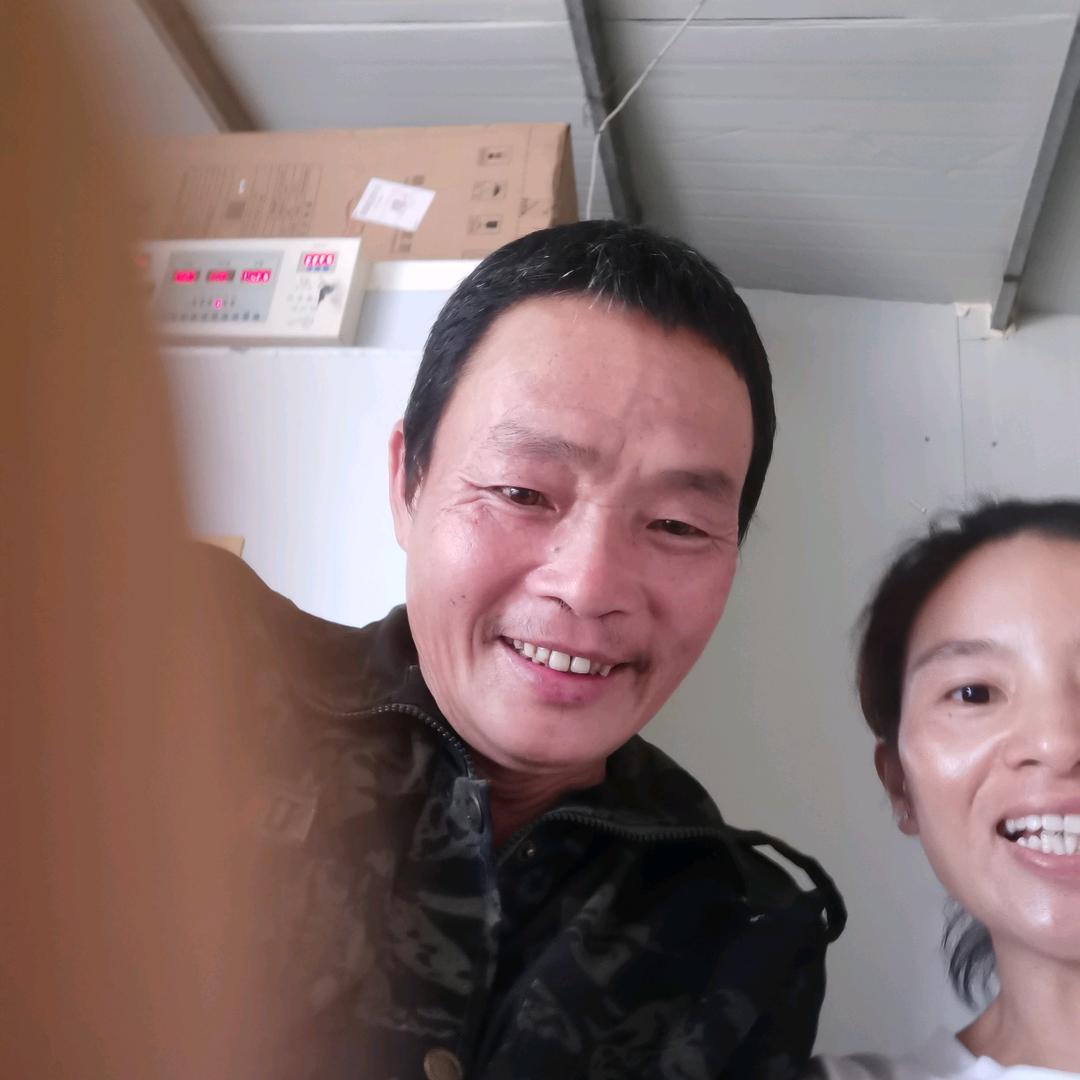 福建孔雀圣鸟凰养殖基地