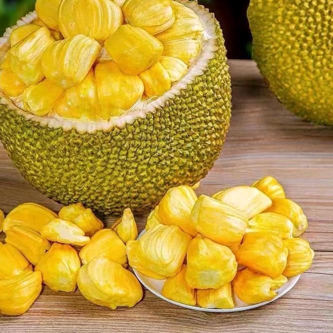 大美菠萝蜜