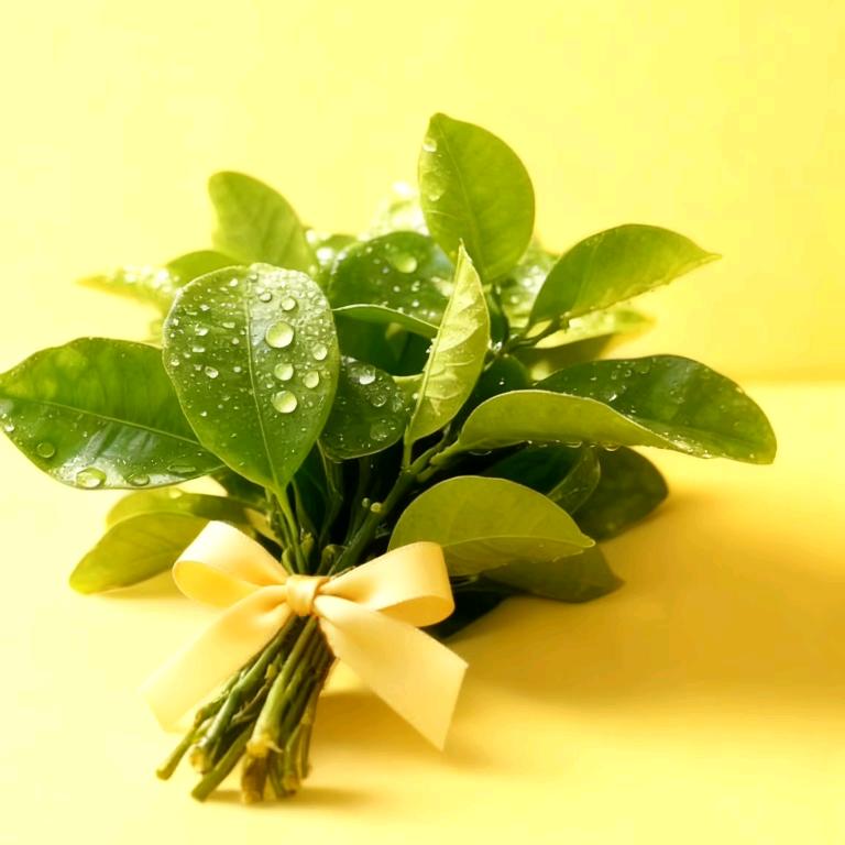 🥂吃不胖的金钰儿