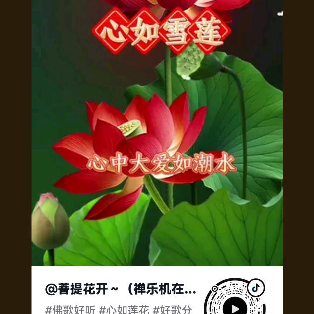 810303法号释怀