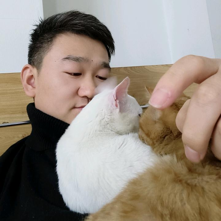 王与猫日记