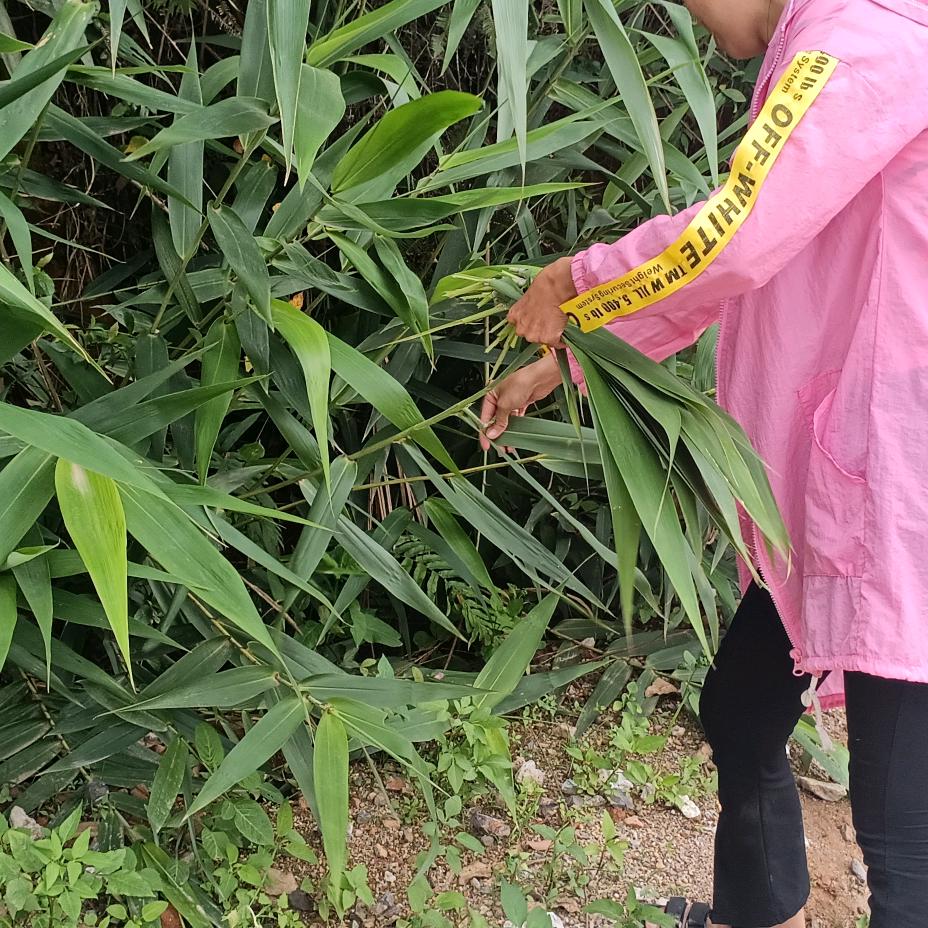 丽利农产品优选