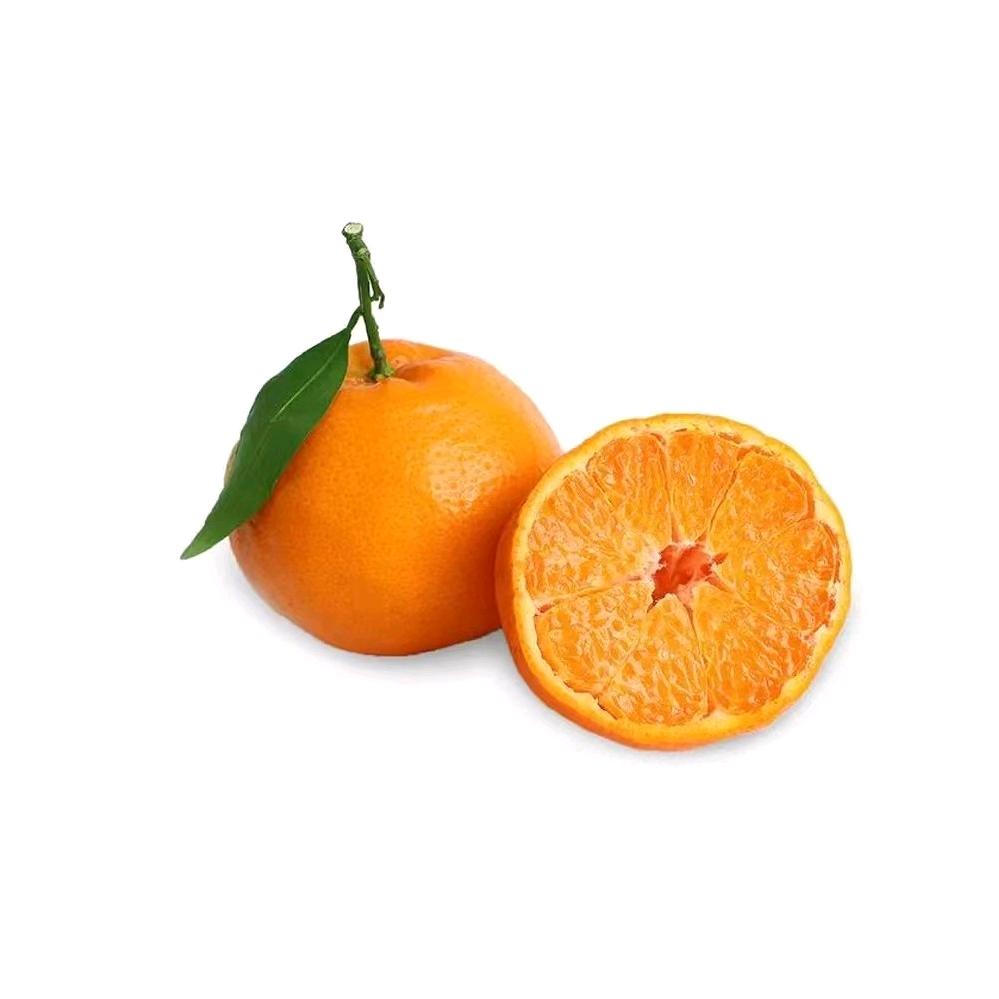 哦令橘🍊