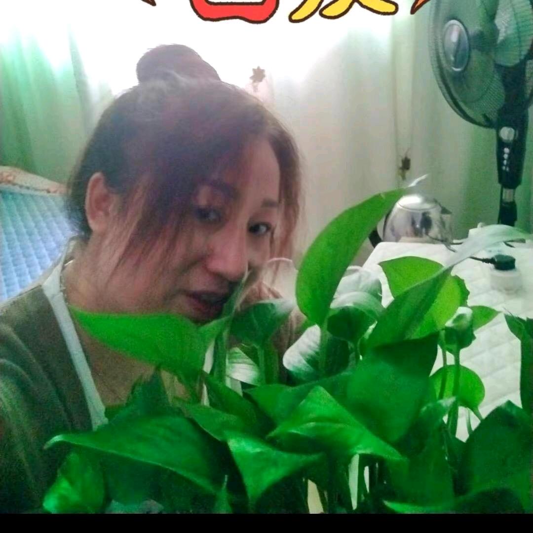 咖啡☕不懂酒的醉