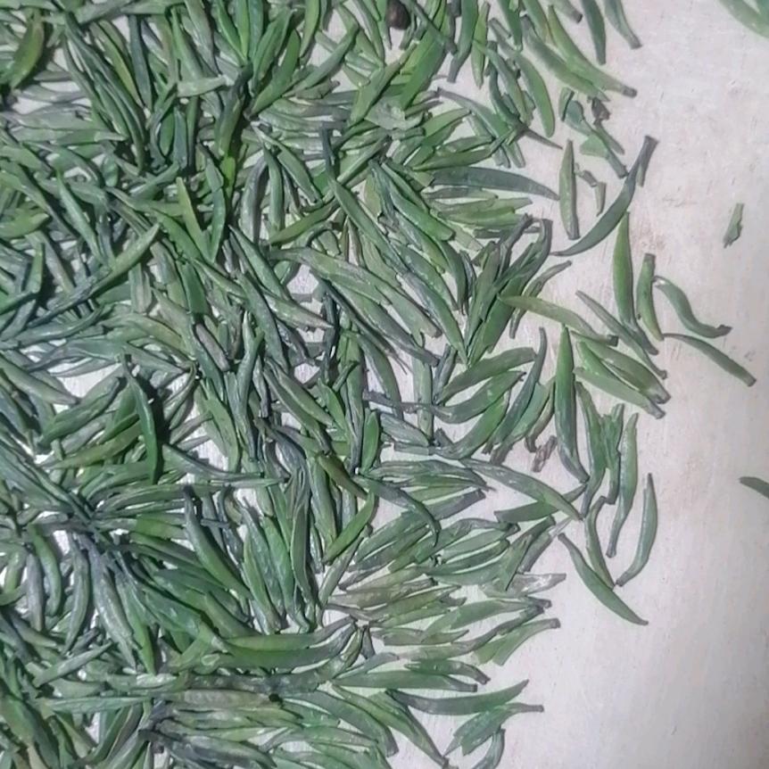 贵州茶叶哥