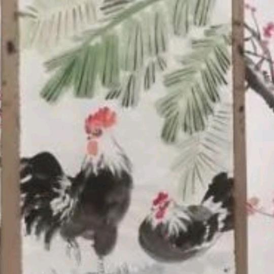 骄骄