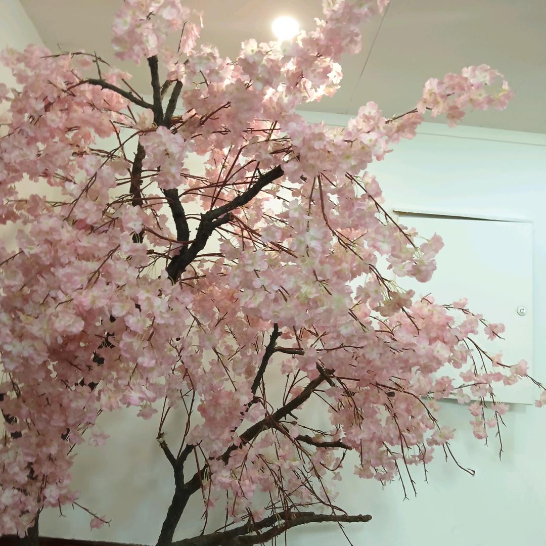 想念