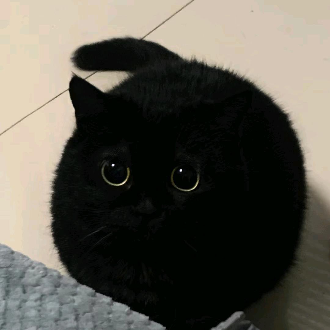 大哥好剧