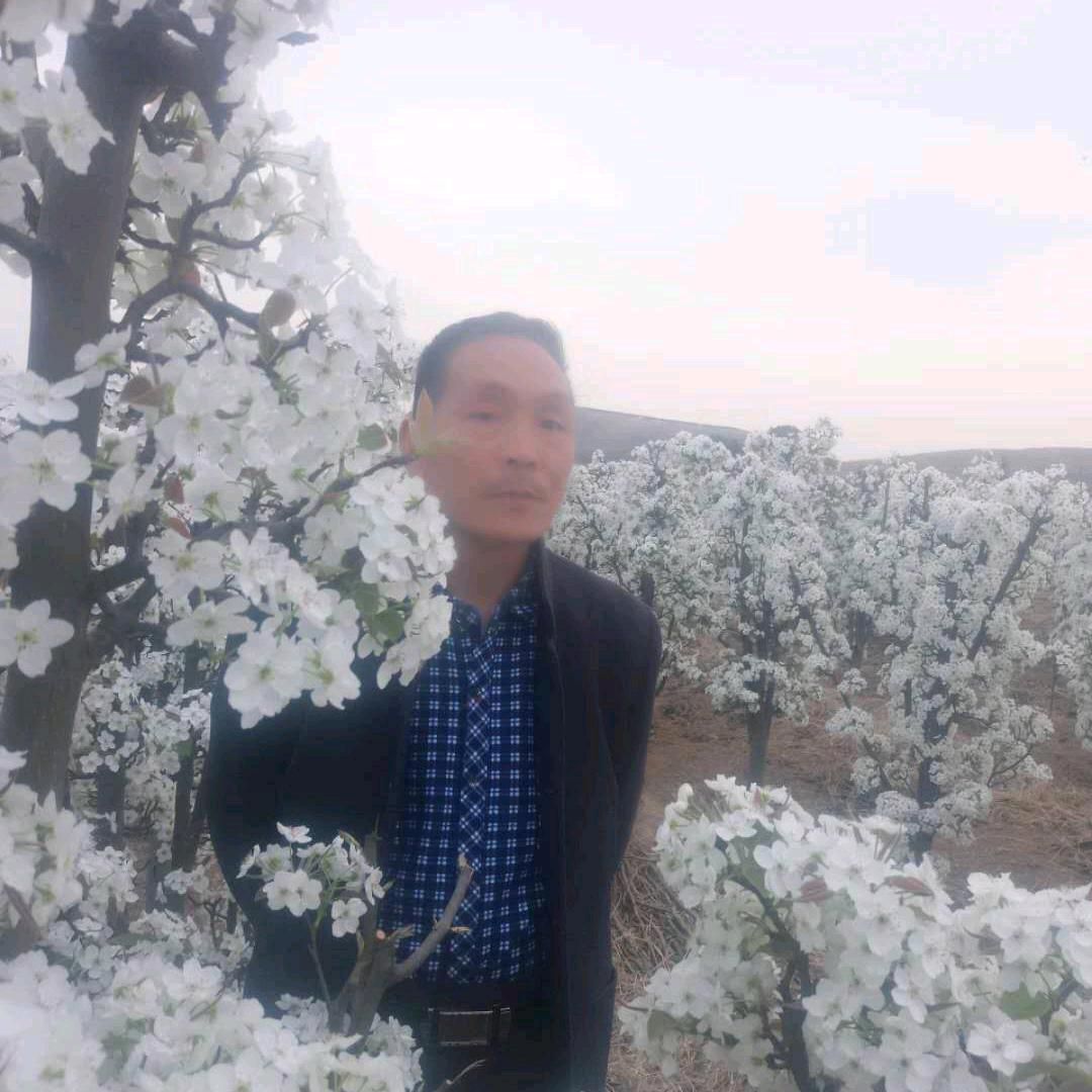 ❤平安幸福❤