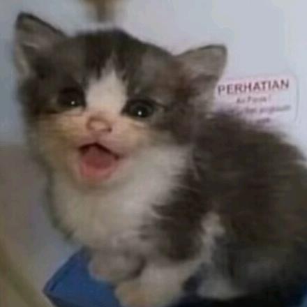 一语生这个名字很装