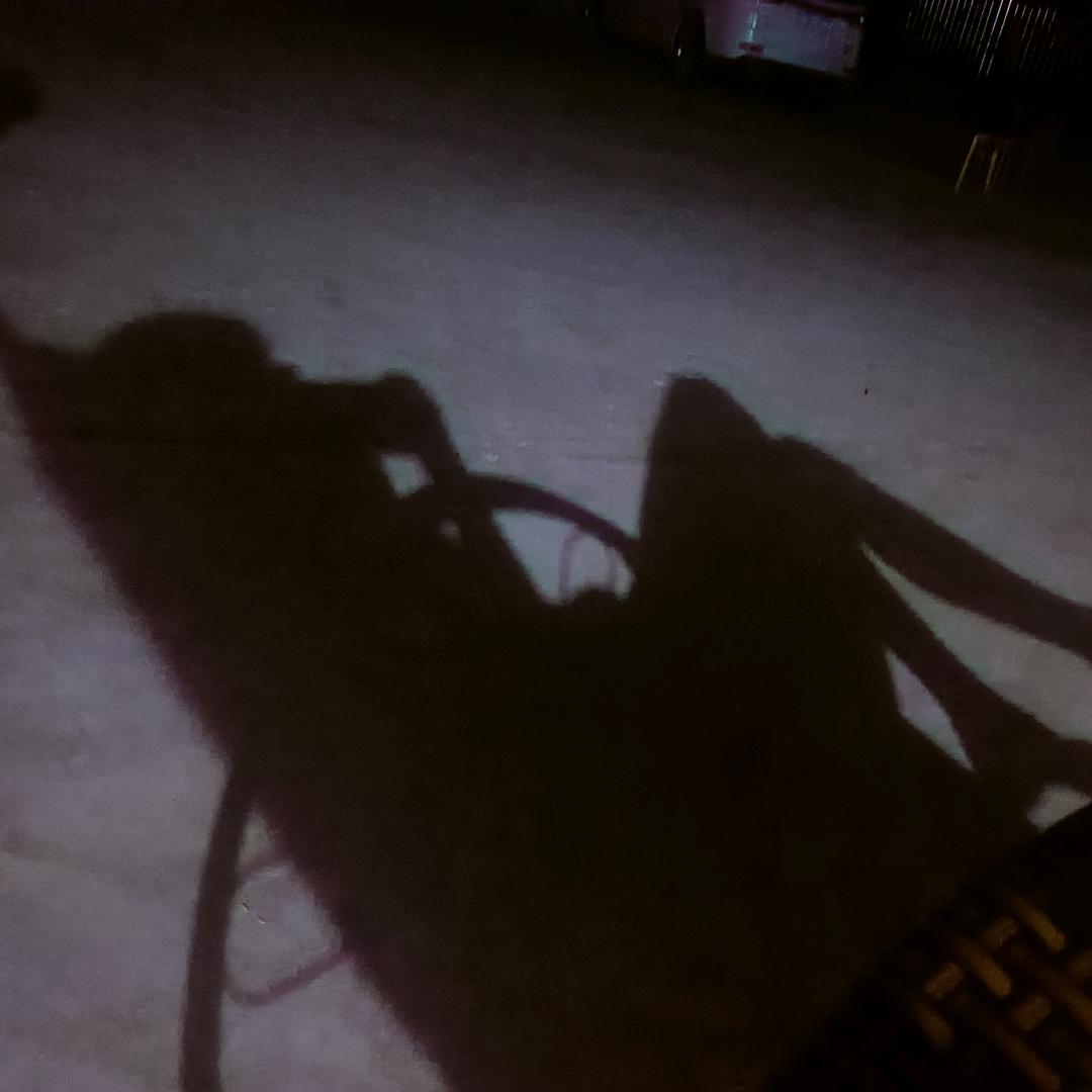 hi₍˄·͈༝·͈˄*₎◞ ̑̑