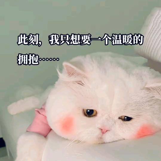 ✨心愿🍎