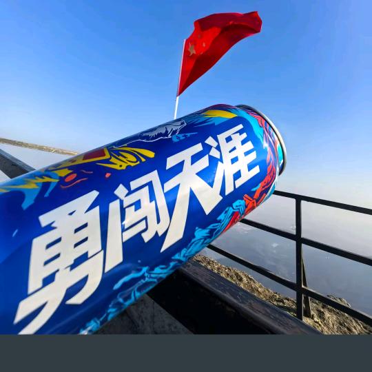 完美之旅（勇闯天涯）