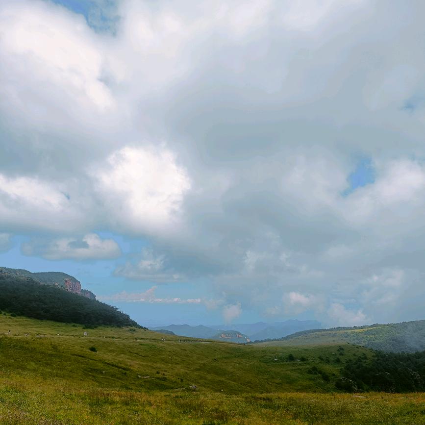🌟Mr小🌿🚉🌟