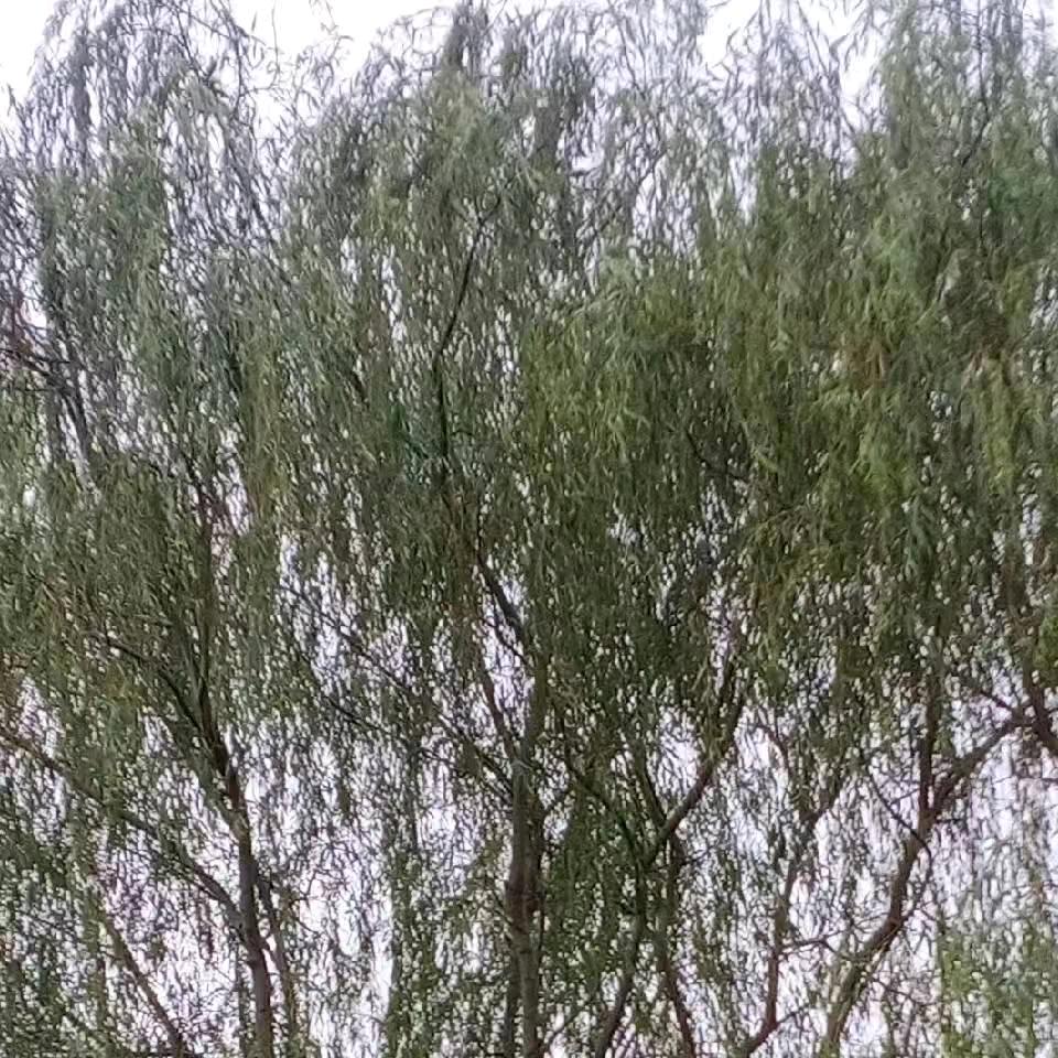 幸福一生