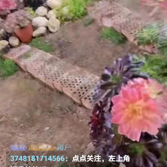 常在河边玩