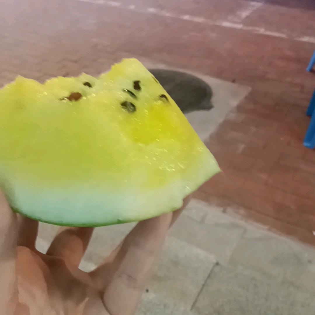 草绿色羊肉串