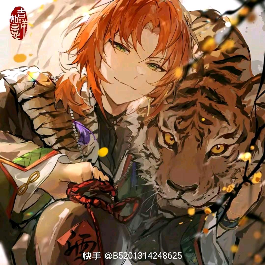 虎虎解说